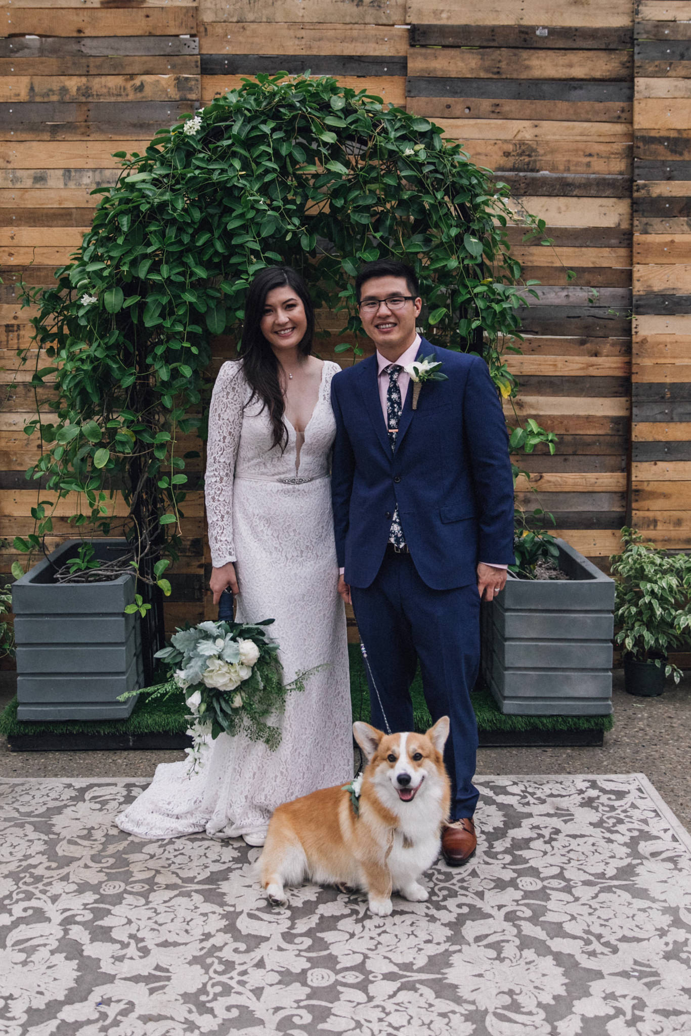 dogs in weddings