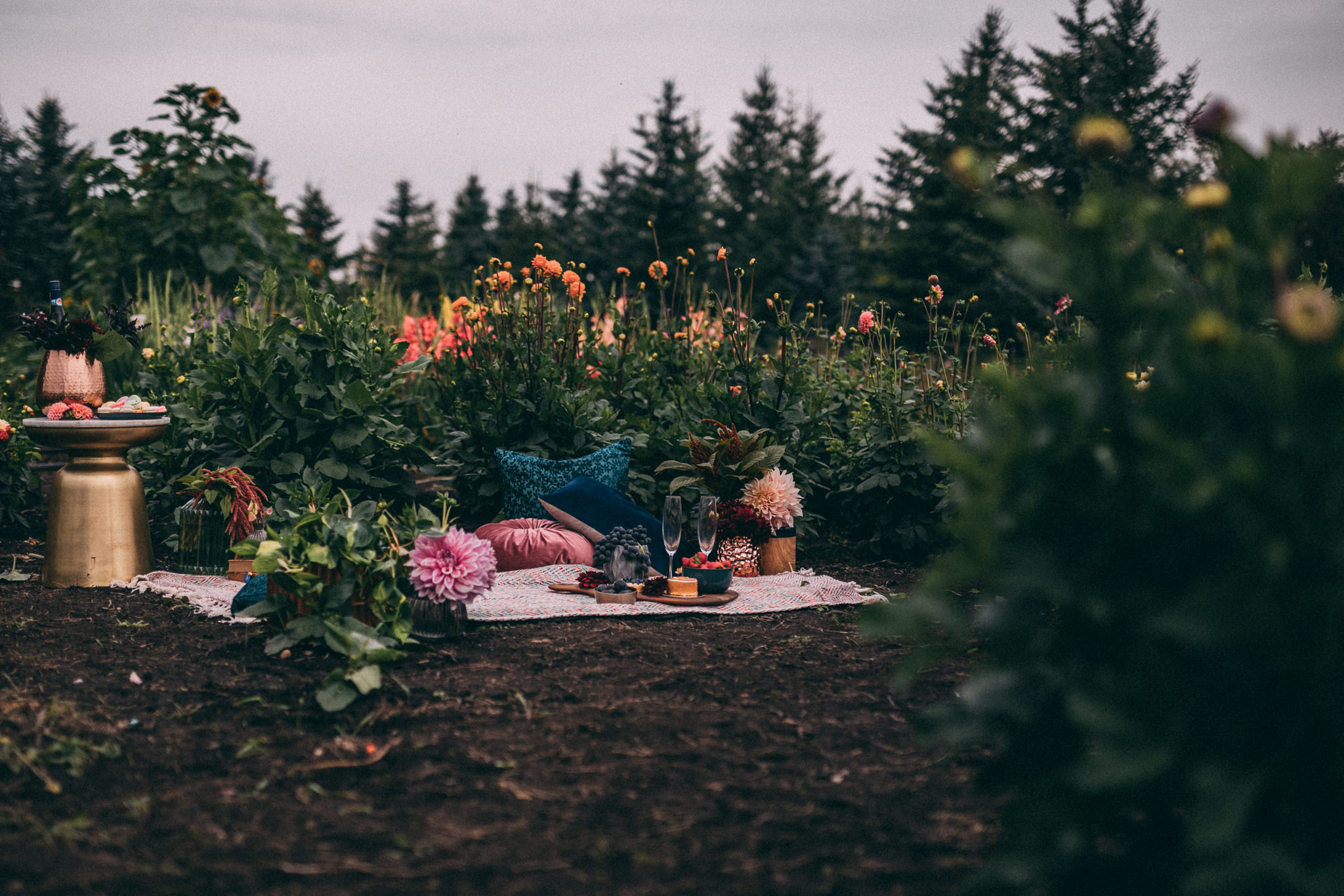 romantic picnic engagement session