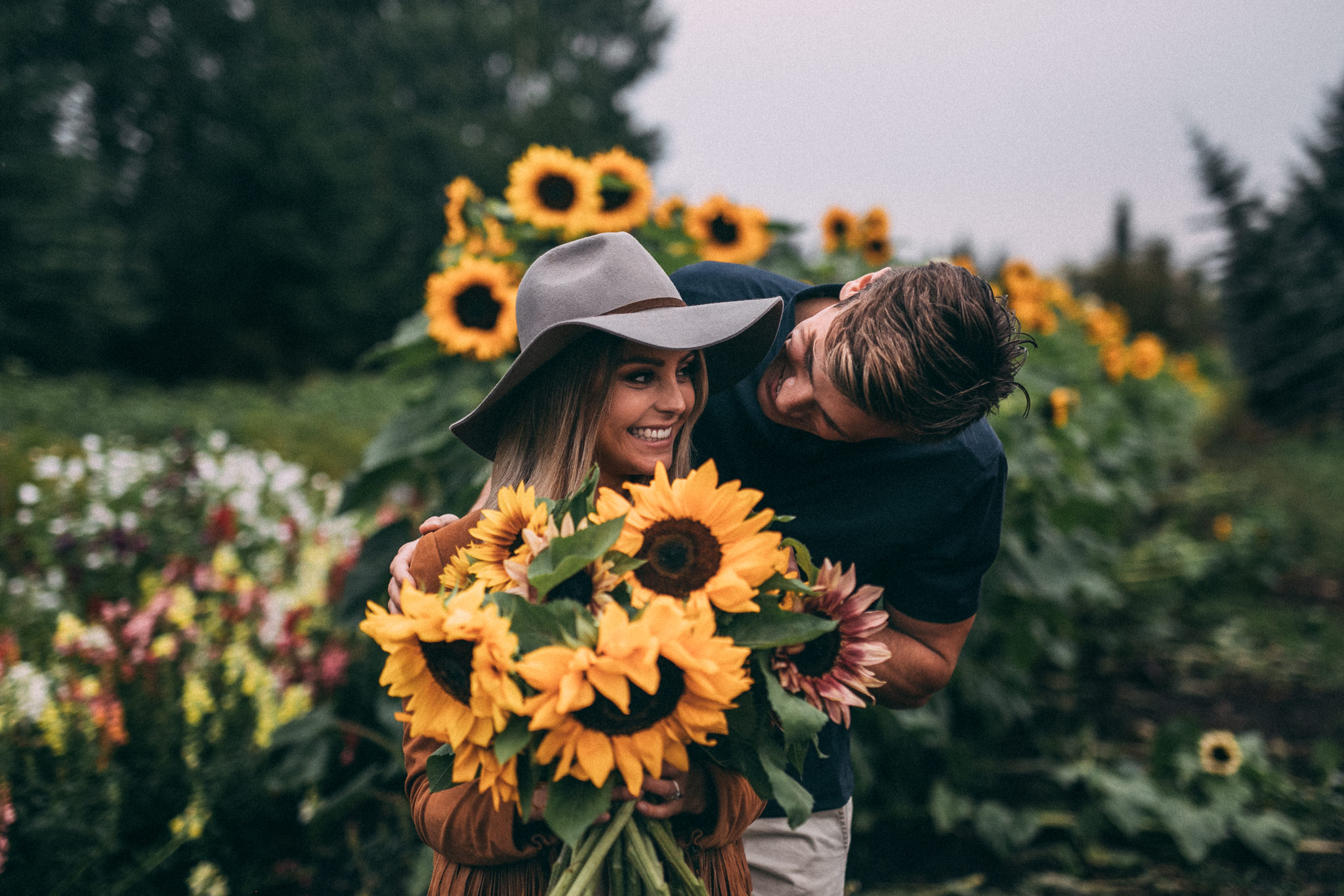 sunflower surprise